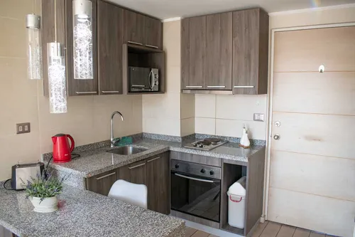 Arriendo Depto Amoblado 1 Habitación - Morandé (3485)
