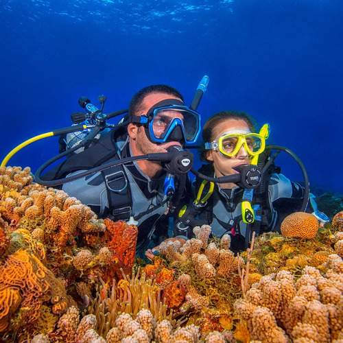 Máscara De Buceo Tusa M-212 Freedom Ceos, Color Negro/negro