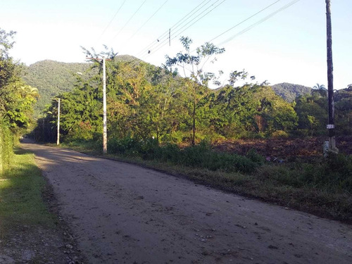 Imagem 11 de 11 de Terreno Para Chácara Em Mongaguá , R$ 85 Mil