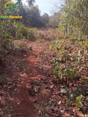 Imagem 6 de 9 de Fazenda À Venda Em Araguaína - To - 687,28 Hectares (dupla Aptidão) - 2109