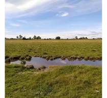 Comprar Vendo 15 Has Campo Plano, Aguada A 400 M De Ruta 33 Por Servidumbre De Paso, Alambrados