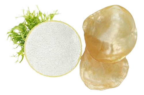 Concha De Nacar En Polvo Con Registro Sanitario 1 Kg