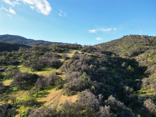 Venta Terreno De 31,7 Has - 317.000 M2 - Lo Barnechea