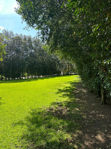 Terrenos En Venta En Colinas De San Javier En Zapopan, Jalisco