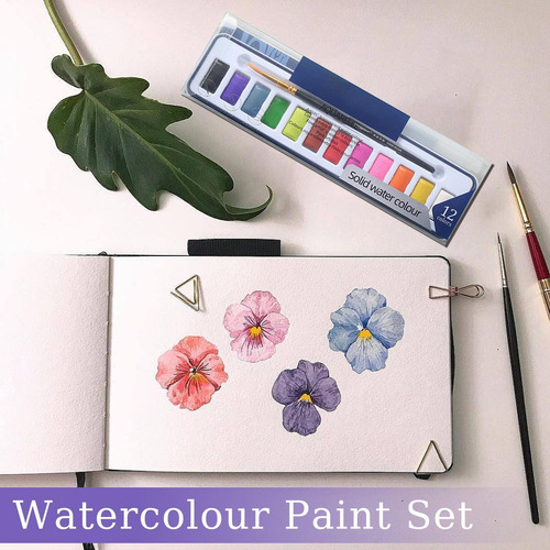 Conjunto De Acuarela Set De Pintura De Acuarela Conjunto De