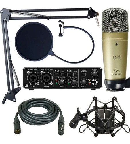 Kit Grabación Behringer Umc202hd C1 Microfono Antipop 192khz