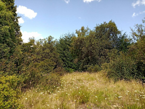 Imagen 5 de 16 de Lote / Terreno De 2.885m2 En Villa La Angostura