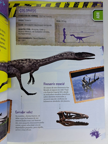 Dinosaurios Extraños - Libro Infantil Con Stickers