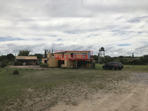 Imagen 25 de 30 de Venta De Chacra Sobre Ruta 9 A 30 Km De Jose Ignacio