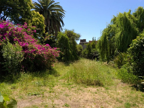Imagen 8 de 25 de Chalet 3 Amb Amplio A Reciclar- Lote 880 M2 - V.ballester