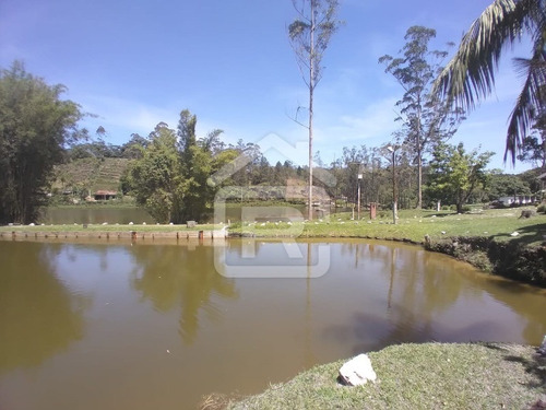 Imagem 22 de 30 de Lindo Sítio Em Juquitiba Com Imenso Lago, Piscina, Nascentes - 92 - 70323419