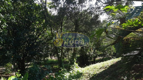 Imagem 6 de 16 de Casa Térrea Para Venda No Bairro Batistini - 10915