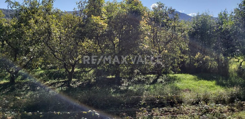 Imagen 8 de 9 de Terreno En Venta