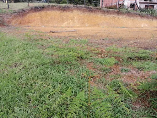 Lindos Lotes En Venta Guarne