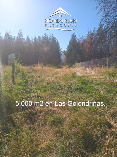 Terreno En Las Golondrinas