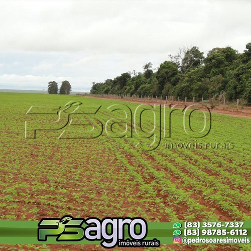 Imagem 4 de 7 de Fazenda À Venda, 980000 M² Por R$ 999.999.999,99 - Novo Horizonte - Paranatinga/mt - Fa0230