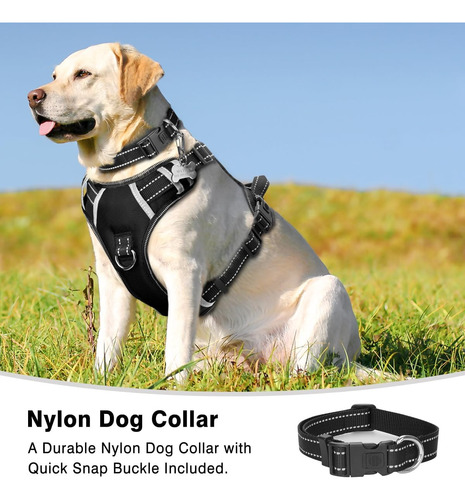 Winsee Arnés Para Perro/mascota No Pull Con Collar De Per...