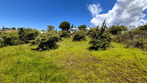 Hermoso Terreno En El Durazno (tanti)