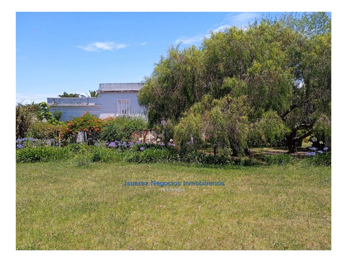 Imagen 17 de 22 de Js: Venta Excelente Chacra Abayuba Cw189854
