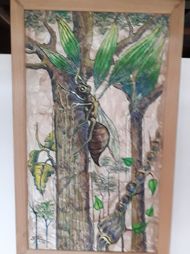 Pintura De La Selva: Sixto Saurin Pua -   La Isula  Yanchama