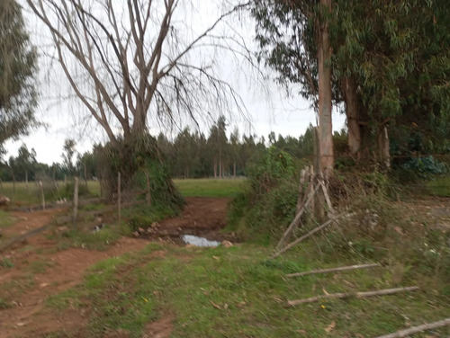 Vendo 3,56 Ha De Terreno, Especial Para Cultivo De Avellano,