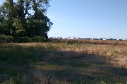 Imagen 7 de 8 de Campo Sobre Ao12 Agro/gandero/industrial