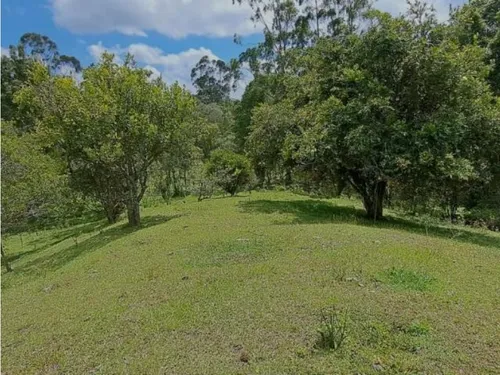 Finca Independiente En Rionegro(mls#242540)