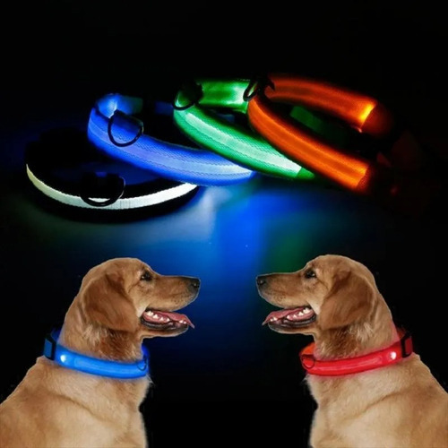 Collar Con Luz Led Luminoso Mascotas, Alumbra En Oscuridad 