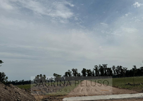 Venta Terreno Plomer Barrio Cerrado