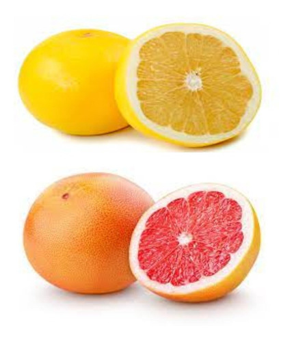 Imagen 6 de 9 de Combo 4 Cítricos A Elección - Lima Tahiti Etc. E/ Caba Gba