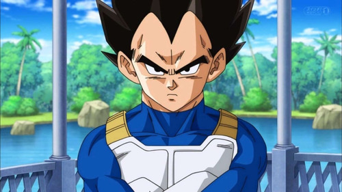Figura Dragon Ball Z Vegeta Lente De Rastreo 24cm