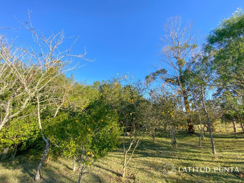 Imagen 22 de 22 de Chacra En Sierra De Las Cañas - Ruta 39 - Maldonado Ruta 39