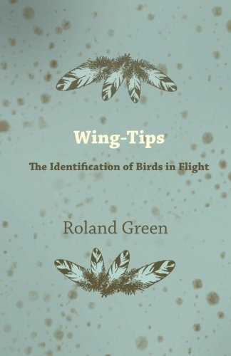 Wingtips  The Identification Of Birds In Flight