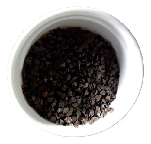 Cascara de trigo sarraceno para relleno new arrivals