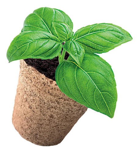 Huerta Mini Set Ciencia Y Juego Lab Clementoni Planta Maceta