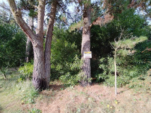 Imagen 5 de 6 de Lote En Venta Mar De Las Pampas 675 M2 Con Salida A 3 Calles