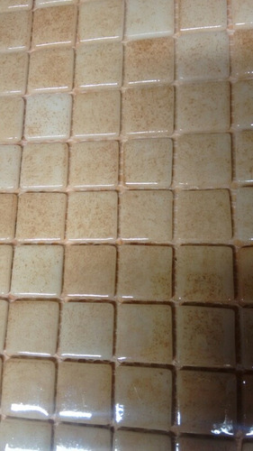 Imagen 7 de 10 de Venecitas Color Beige Premium 2,5x2,5 Por M2