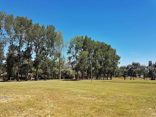 Imagen 3 de 14 de Terrenos En Venta Del Viso Pilar Barato Zona Norte