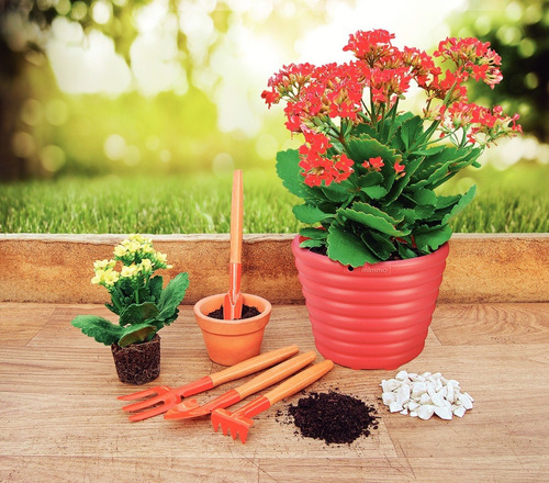 Conjunto Jardinagem 4 Peças Tramontina Para Vasos Pequenos