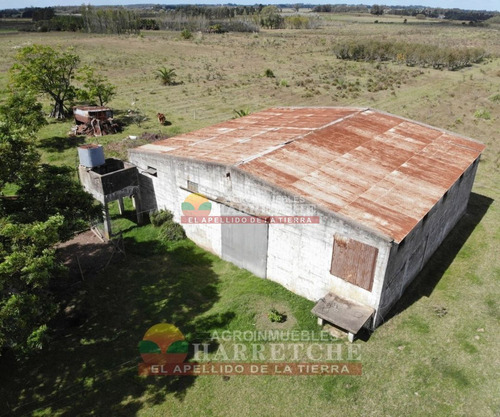 Imagen 3 de 30 de Chacra 10 Has En Venta Con Construcciones En Carrasco Del Sauce,