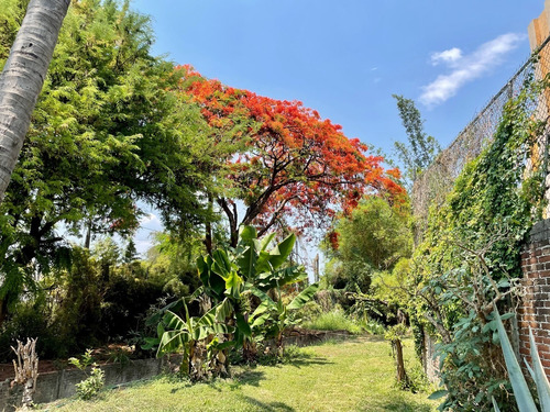 ¡oportunidad Gran Terreno En Yautepec, Morelos!
