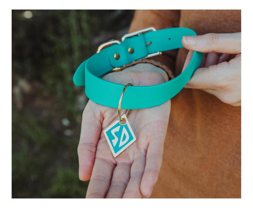Réplica De Collar De Perro Azul De Scooby-doo Con Dije Y | Y