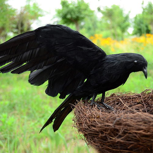 Cuervo Emplumado Realista Aves Decorativas Cuervo Estatua
