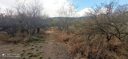 Imagen 2 de 9 de T36 - Lote De 1.250 M2 Camino Al Dique La Viña Quebrada De Los Pozos