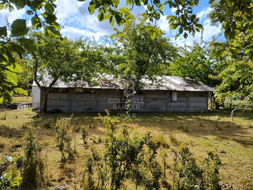 Pradera Y Bosque Nativo I Frutillar