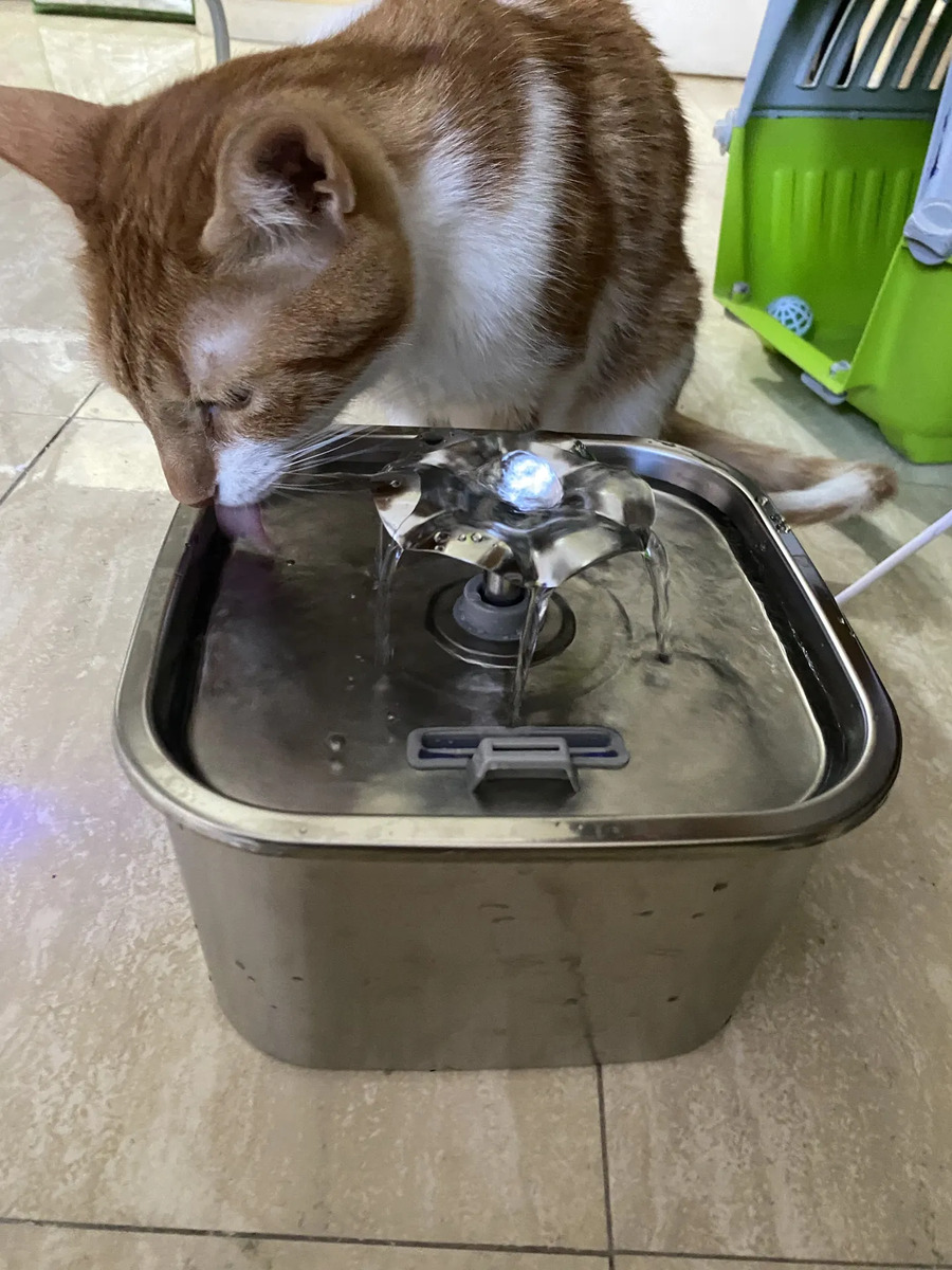 Foto real de Bebedero Para Gatos Automático Acero Inoxidable Diseño 2,6l