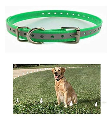 Collares De Repuesto Sparky Pet Co High-flex De 1  Con Hebil