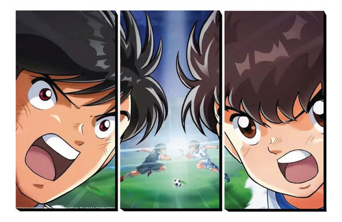 Cuadros Decorativos Tripticos Super Campeones