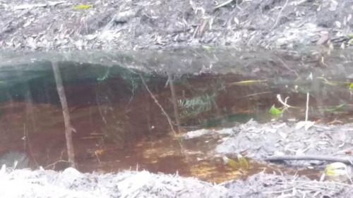 Chácara C/ Árvores Frutíferas No Bopiranga-itanhaém 4292 Npc