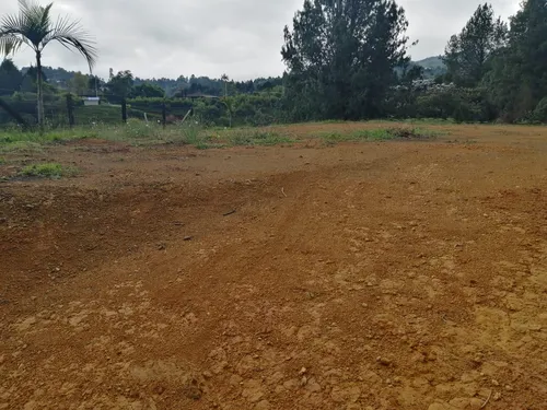 Lindos Lotes En Venta Guarne